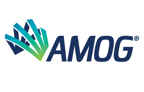 AMOG Consulting